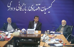 عملکرد بانک مرکزی در کمیسیون اقتصادی دبیرخانه مجمع بررسی شد